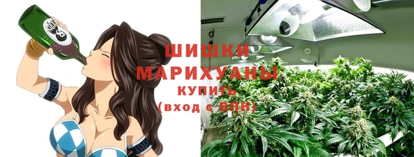 тгк Заводоуковск